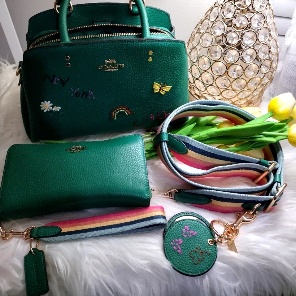 Coach mini Lillie carryall with Diary Embroidery Bag - Picture 8 of 14